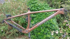 santa cruz chameleon for sale  LANGPORT