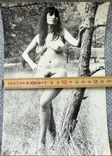 Künstlerisches foto akt gebraucht kaufen  Berlin