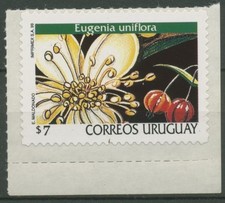 Uruguay 1999 freimarke gebraucht kaufen  Gleichen