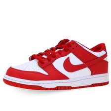 Scarpe nike dunk usato  Rieti