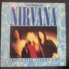 Nirvana smells like gebraucht kaufen  Aschaffenburg