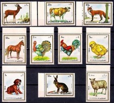 Fujeira 1972 animali usato  Trambileno