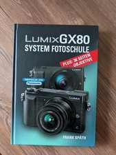 Lumix gx80 system gebraucht kaufen  Arnsberg