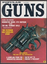 Popular guns remington for sale  Hartford