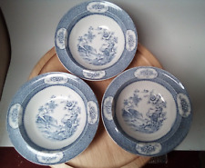 Yang tse newport for sale  TORQUAY
