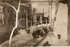 1930 milano inaugurazione usato  Milano