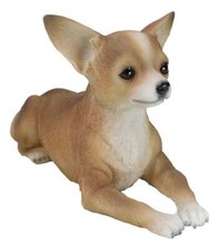 Realistic shorthair deer for sale  USA