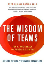 The wisdom teams gebraucht kaufen  Berlin