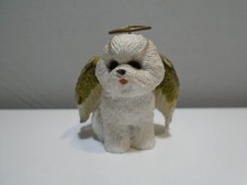 Miniature angel bichon for sale  Tucson