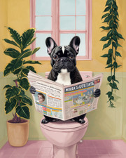 French bulldog toilet for sale  DUNSTABLE