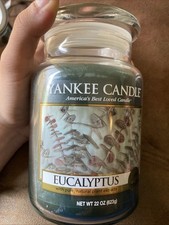 Yankee candle eucalyptus for sale  Lexington