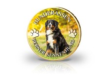 Euro vergoldet berner gebraucht kaufen  Wollmatingen