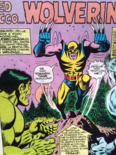 Hulk 181 first usato  Torino