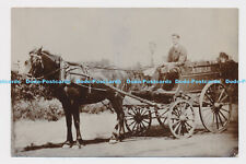 C006561 horse. horse for sale  WARLINGHAM