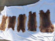 Hasenfell hasenfelle felle gebraucht kaufen  Geislingen an der Steige