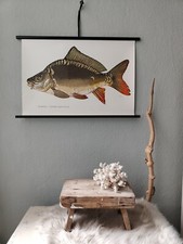 Alte rollkarte lehrtafel gebraucht kaufen  Hannover