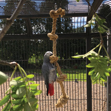 Sisal tarzan rope for sale  LUTTERWORTH