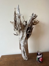 Driftwood piece tall for sale Driftwood piece tall for sale  UK