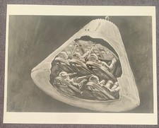 Vintage nasa photograph for sale  BIDEFORD