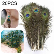 20x pfauenfedern 30cm gebraucht kaufen 20x pfauenfedern 30cm gebraucht kaufen  Neuenstadt am Kocher