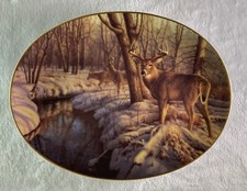 Winter calm plate for sale  Vergas