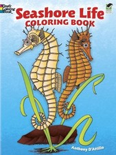 Seashore life coloring for sale Seashore life coloring for sale  Boston