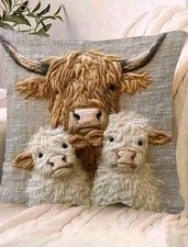 Beautiful highland cow for sale  TEIGNMOUTH