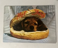 Cartão postal de “cachorro-quente” comprar usado  Enviando para Brazil