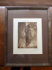 Edward curtis forest for sale  New York