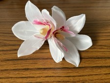 White pink orchid for sale White pink orchid for sale  NORTHAMPTON