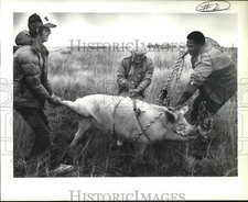 1987 press photo for sale  Memphis