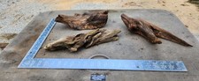 reptile aquariums for sale  Clifton