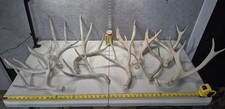 mule deer sheds for sale mule deer sheds for sale Valley City