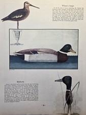Joel barber decoy for sale  Wallins Creek