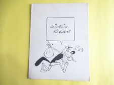 Portfolio giorgio rebuffi usato  Russi