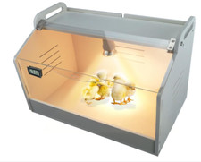 Intelligent brooder box for sale  Eugene