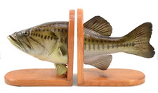 Largemouth bass reproduction for sale  Port Saint Lucie