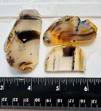 Montana agate slabs for sale  Sonoma