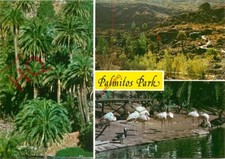 Cartão postal fotográfico: Gran Canaria, Palmitos Park comprar usado  Enviando para Brazil