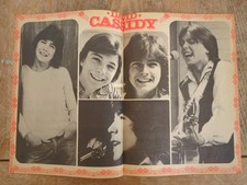 David cassidy 1970s for sale  TAMWORTH