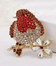 Beautiful robin bird for sale  SHREWSBURY