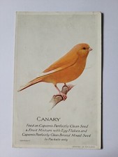 Capern cage bird for sale  ROCHFORD