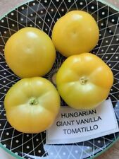 Tomatillo - Węgierska olbrzymia wanilia - Physalis ixocarpa - 20+ nasion - So 069 na sprzedaż  Wysyłka do Poland