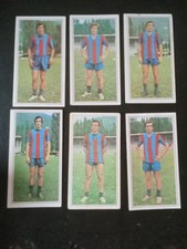Squadra catania calcio usato  Italia