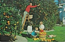 Florida families residents for sale  Dayton