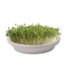 Eschenfelder kressesieb kerami gebraucht kaufen  Bardowick