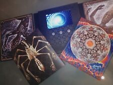 Tool fear inoculum usato  Roma