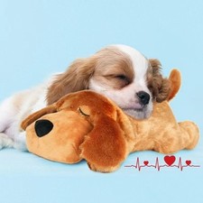 Pet puppy heartbeat for sale  NEWPORT