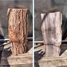 One live edge for sale  Millington