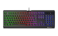 Rapoo gaming keyboard gebraucht kaufen  Nettetal